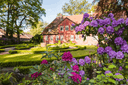 Müden, Müllern Hof mit Rhododendron
