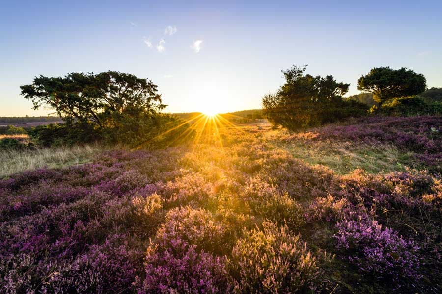 Der Turmberg ist der Beginn der Oberhaverbecker Heide