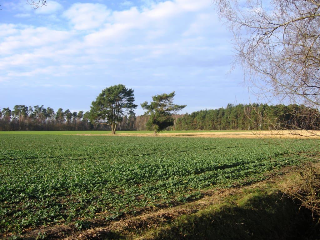 Helmsbostel bei Hohne