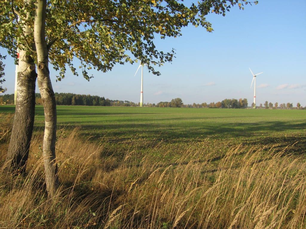 Im kleinen Schmarloh