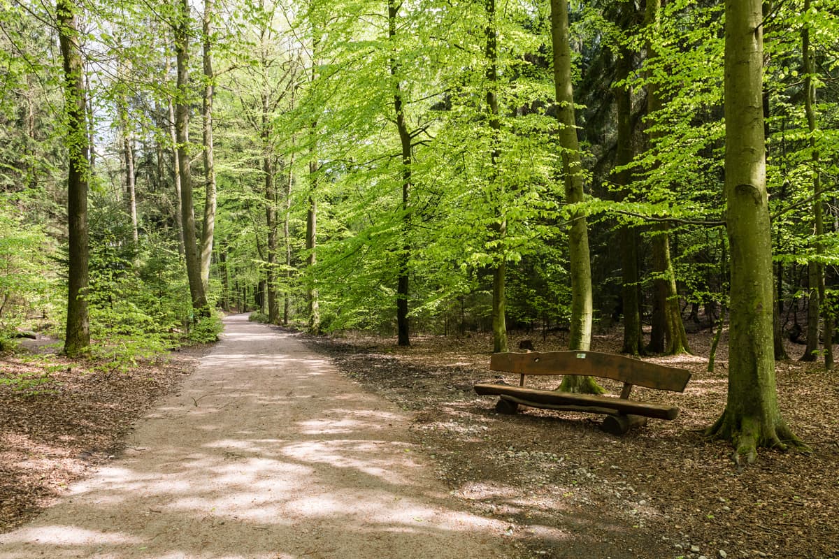 Märchenwanderweg-Der-Trickser-Lüneburger-Heide