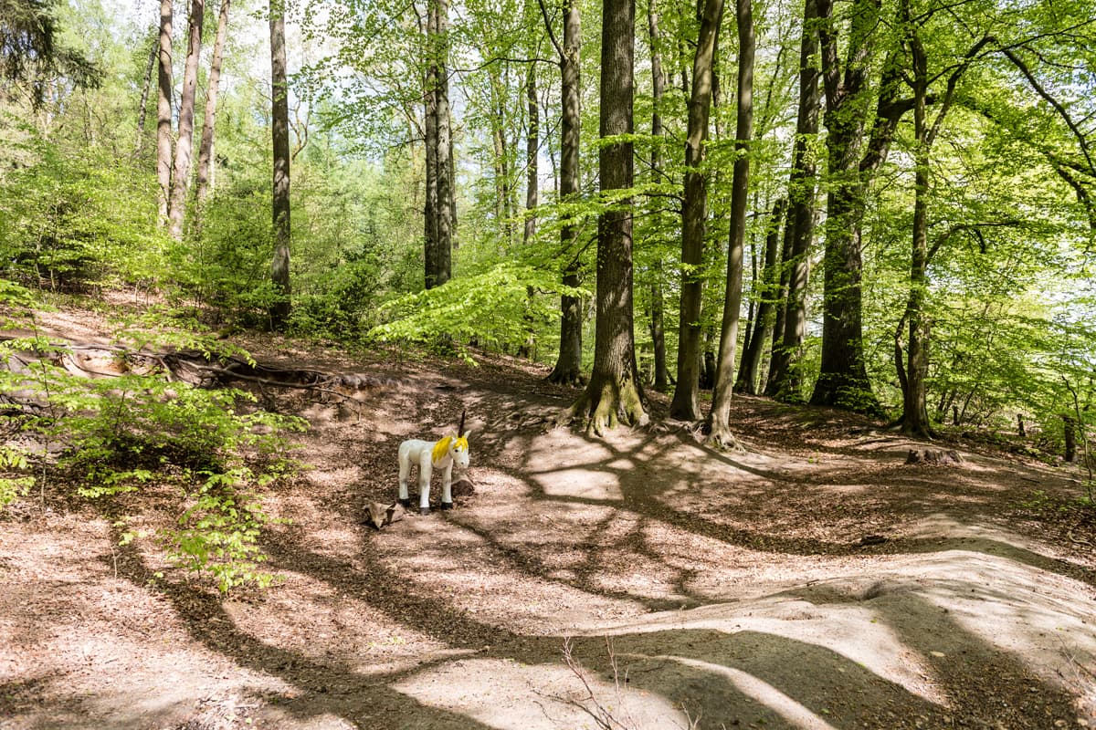 Wanderweg für kinder