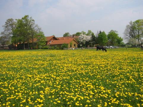 Frühling auf dem Erlebnisbauernhof Familie Wehrhoff - Ferienhof