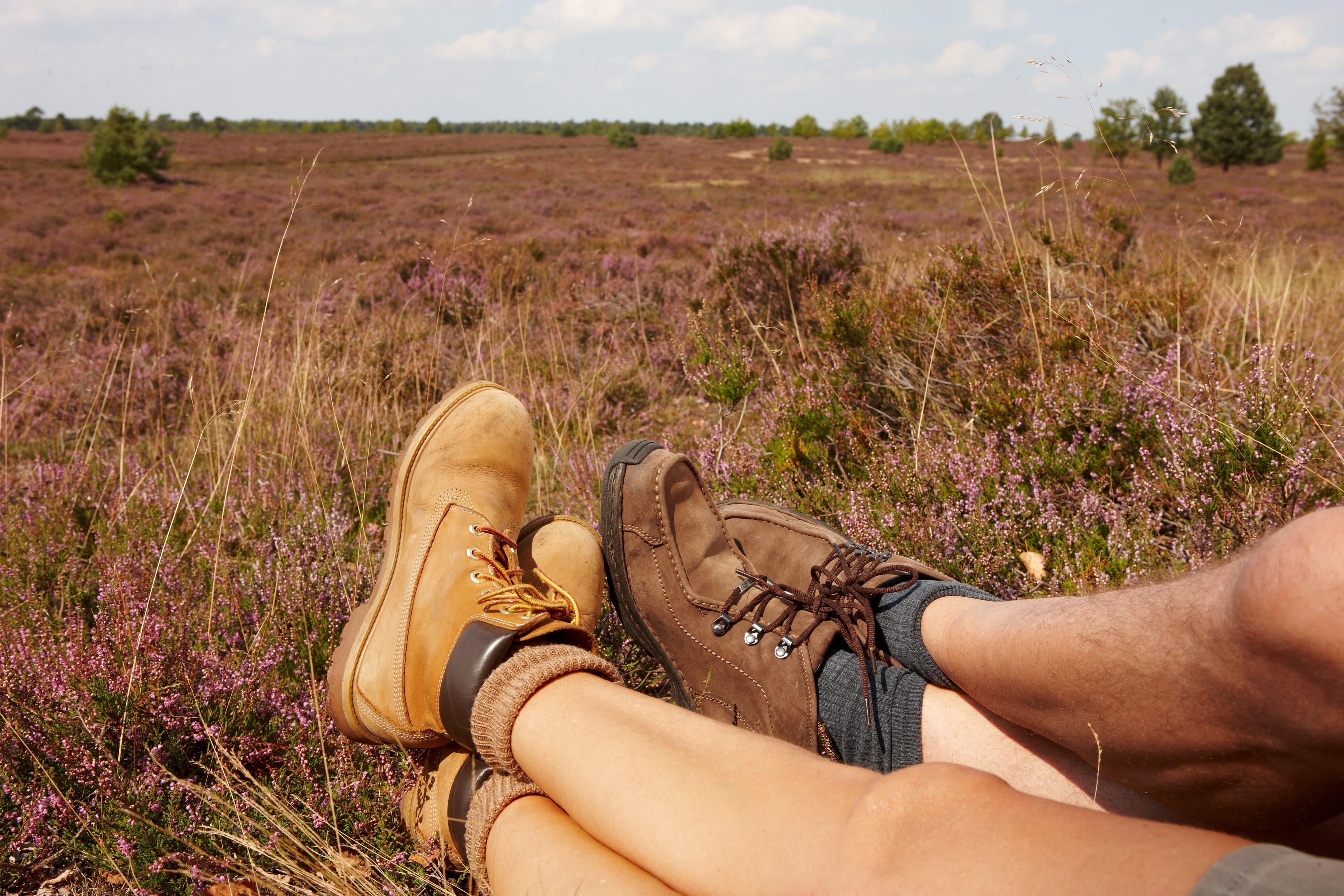 Wandern in der Osterheide Schneverdingen auf dem Heidschnuckenweg
