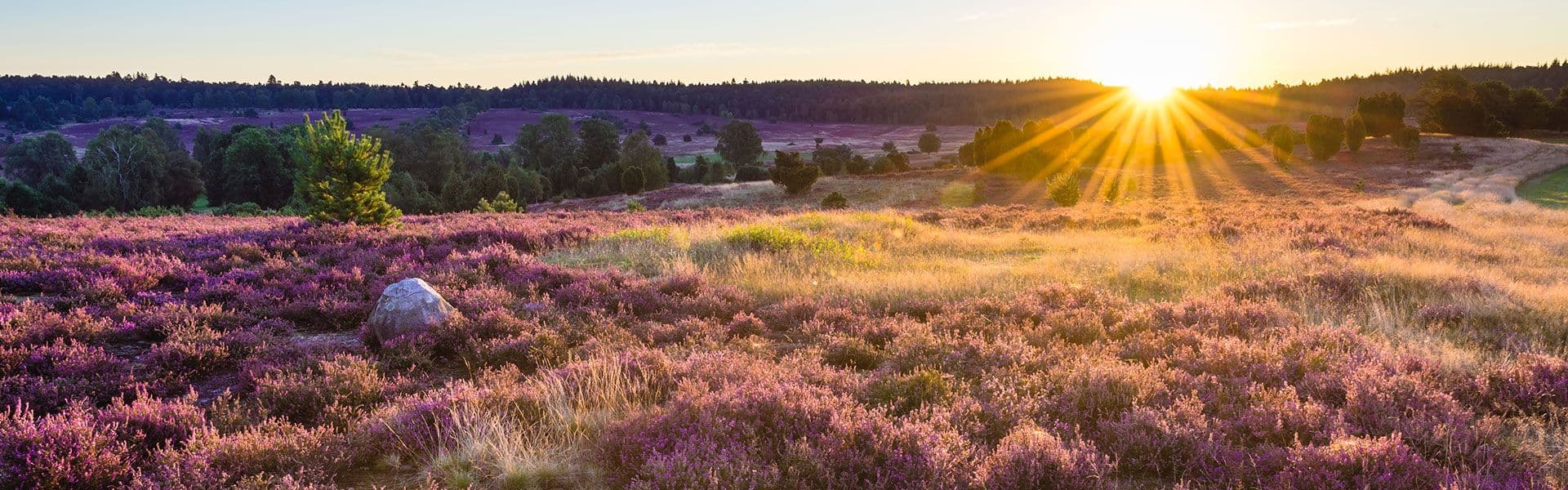 Die schönsten Orte der Lüneburger Heide