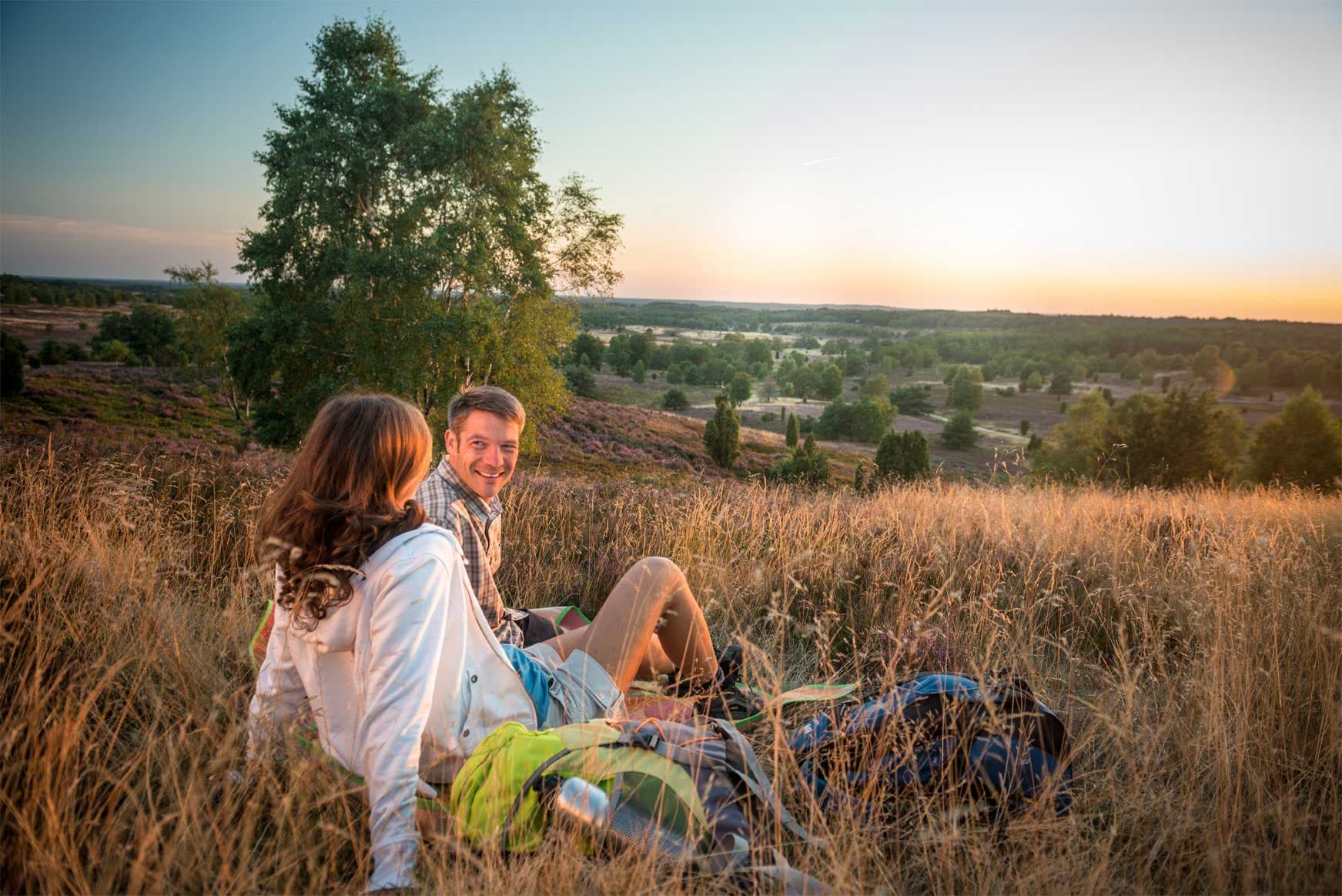 Wandern in der Lüneburger Heide – die schönsten Wanderwege für 1 Tag