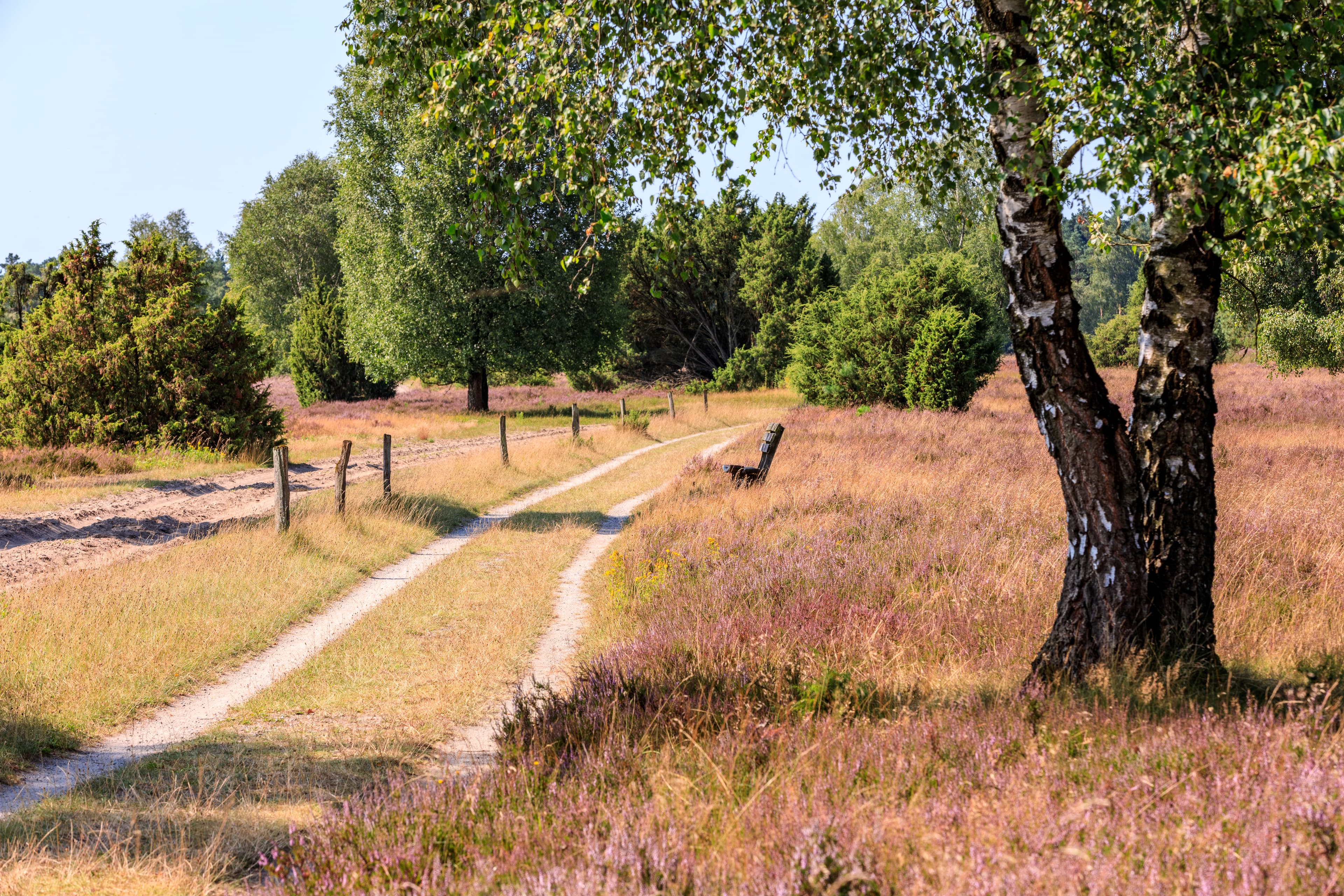 12 Rundwanderwege in der Lüneburger Heide
