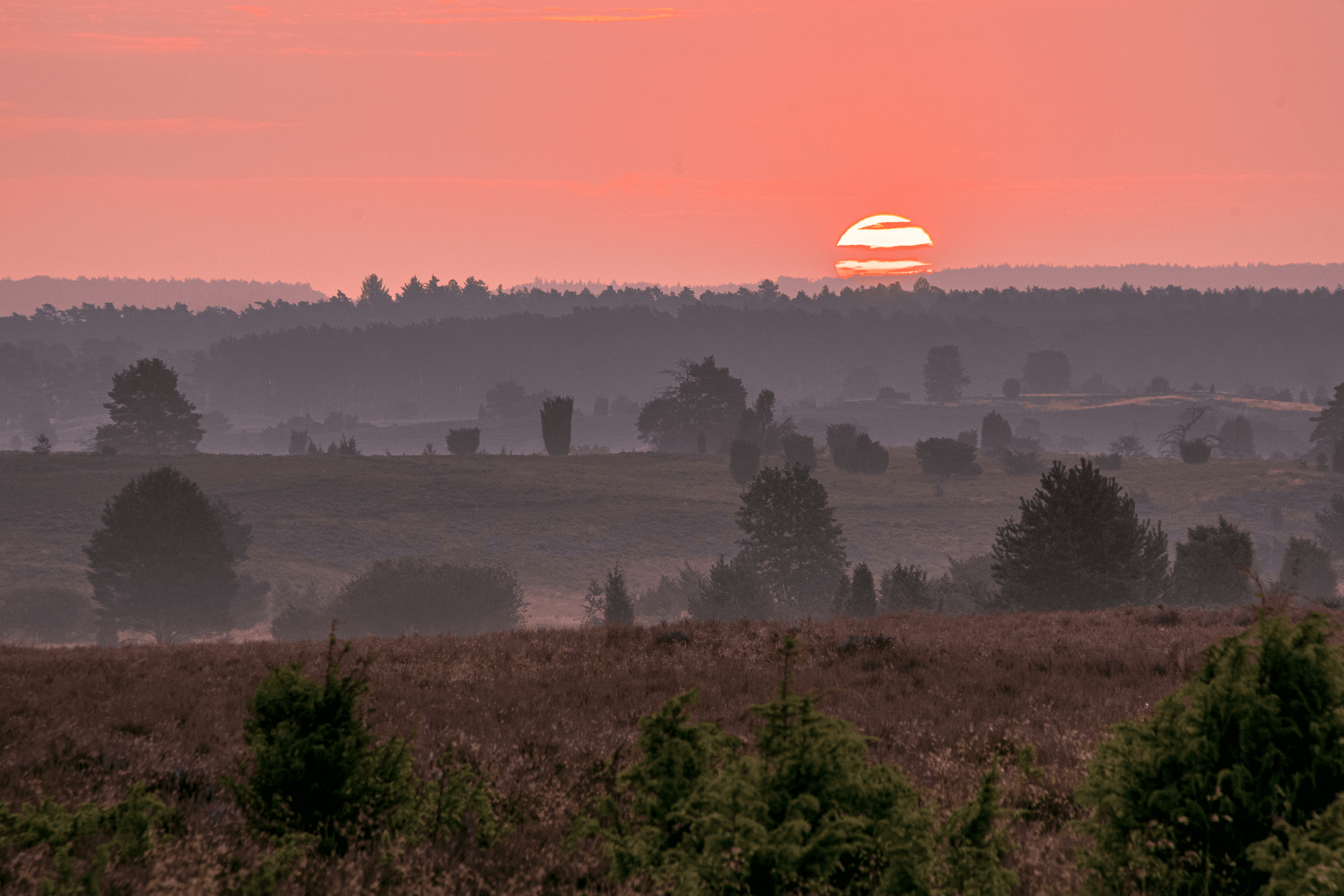 Top Sehenswürdigkeit Sonnenuntergang in der Undeloher Heide