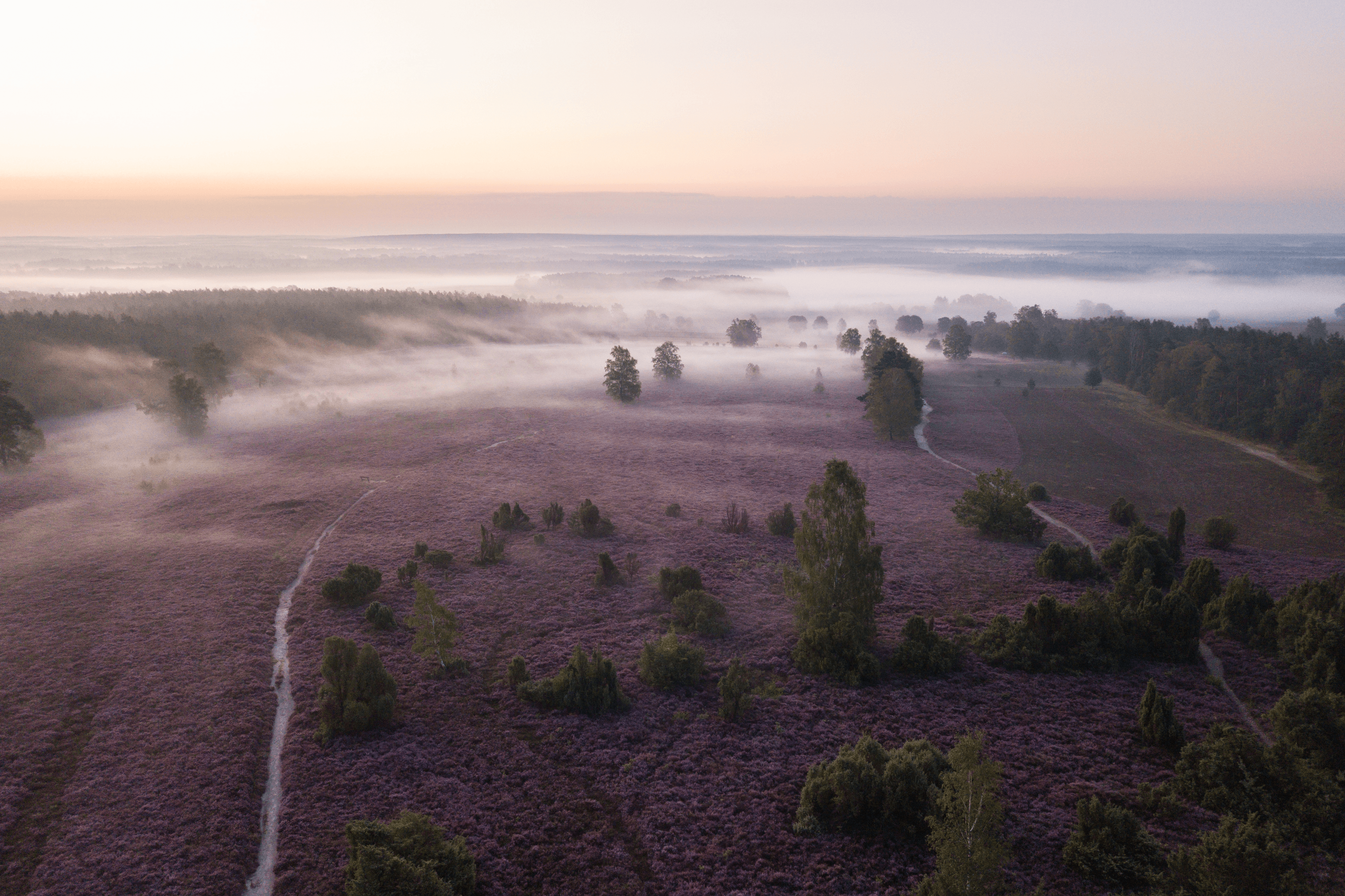Luftbild vom Wietzer Berg bei Müden