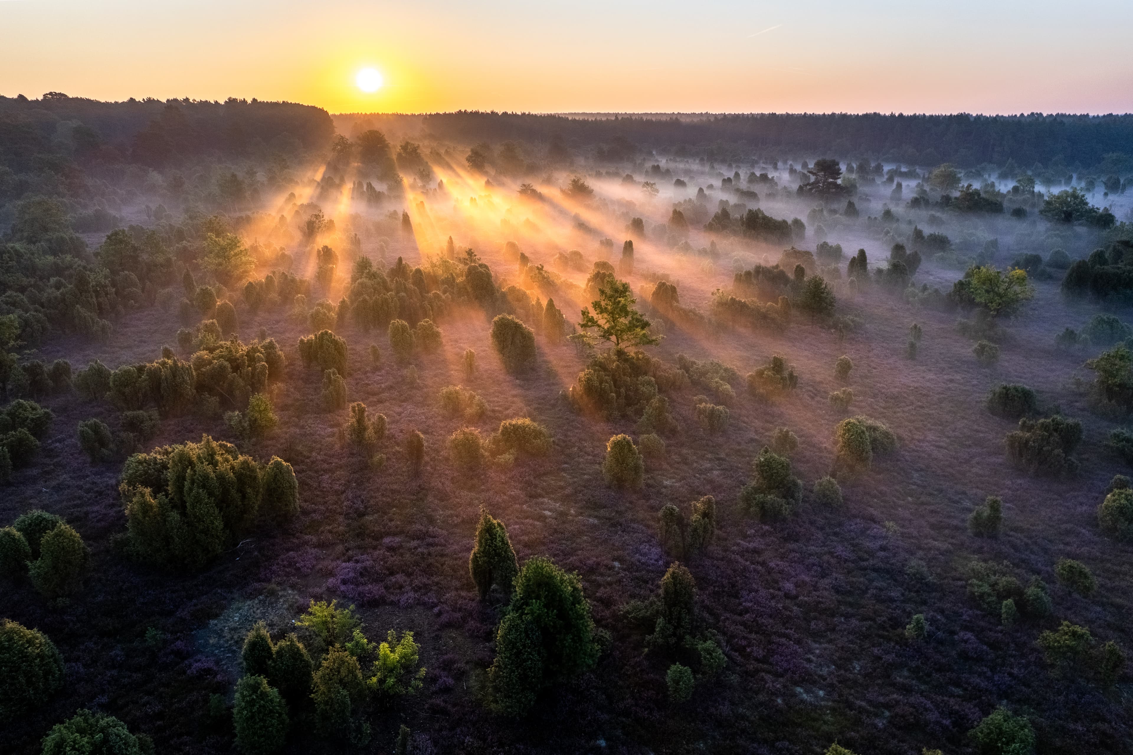 Luftbild aus der Wacholderheide Schmarbeck