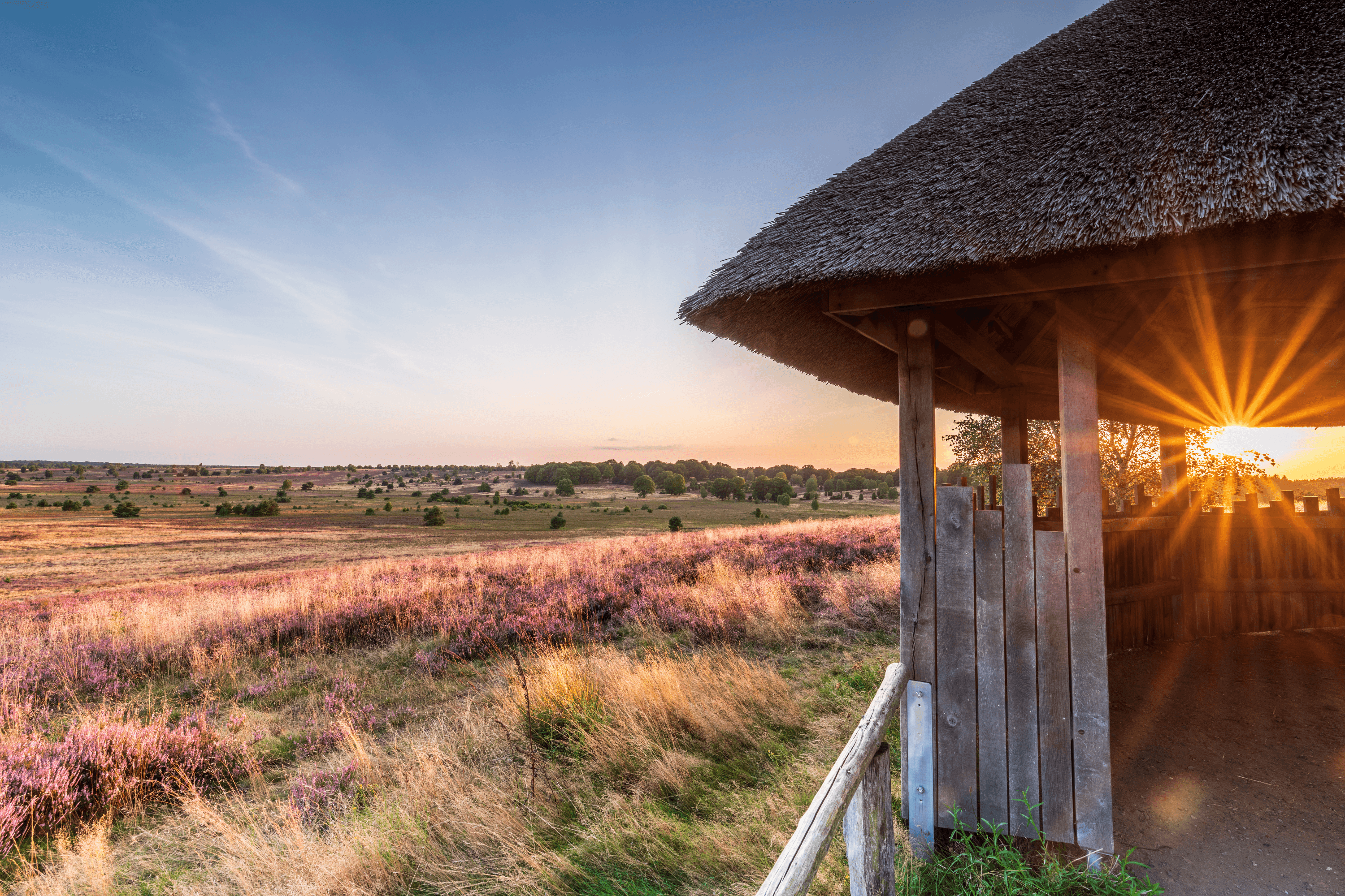Ausblick vom Surhorn in die Heide