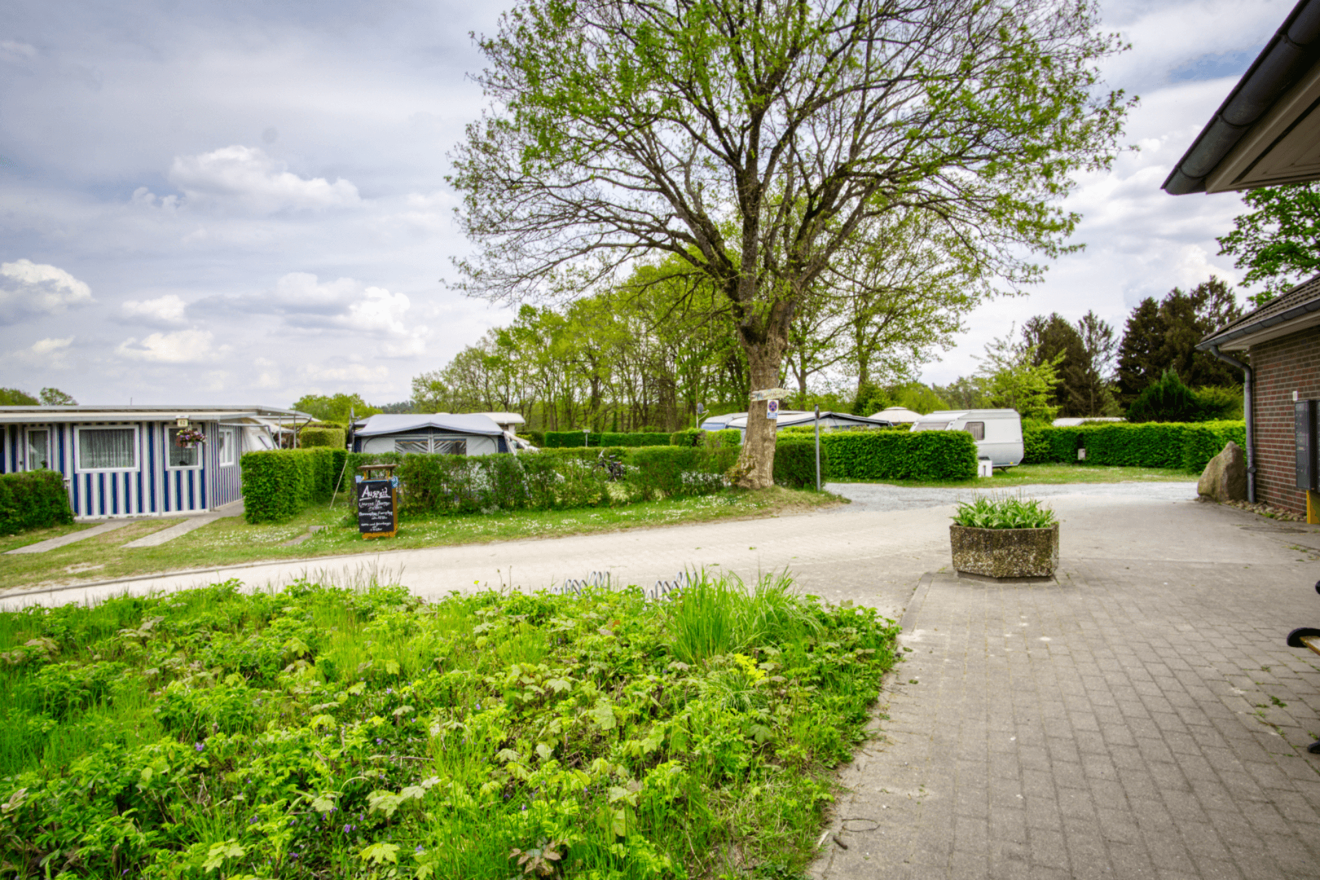 Grüne Stellplätze mit Wohnwagen, gepflegten Wegen und hohen Bäumen auf einem weitläufigen Campinggelände. Im Vordergrund blühende Wiese und ein großes Schild vor einem kleinen Gebäude. Ruhige Umgebung mit Hecken und Natur im Hintergrund.
