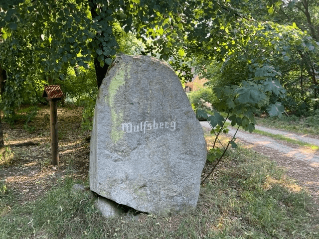 Der Wulfsberg im autofreien Naturschutzgebiet Lüneburger Heide