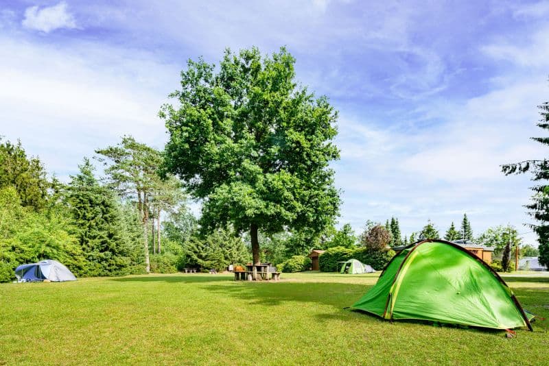 Zeltwiese auf dem Campingplatz Auf dem Simpel in Soltau