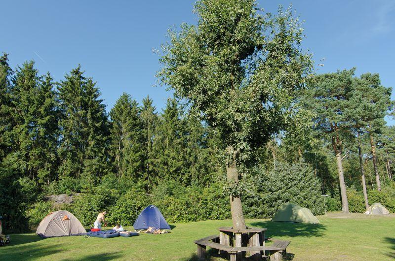 Zeltwiese Campingplatz Auf dem Simpel