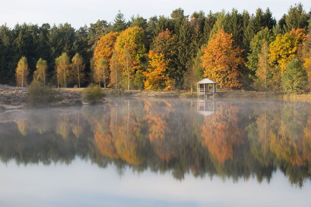 Barrierefrei für Geh- und Seheingeschränkte - die Wanderung ist einer von drei besonderen Abschlussrunden der Heideschleifen.