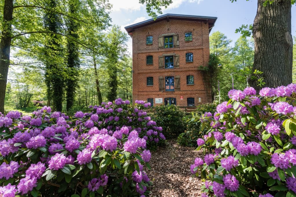 Historische Wassermühle Müden