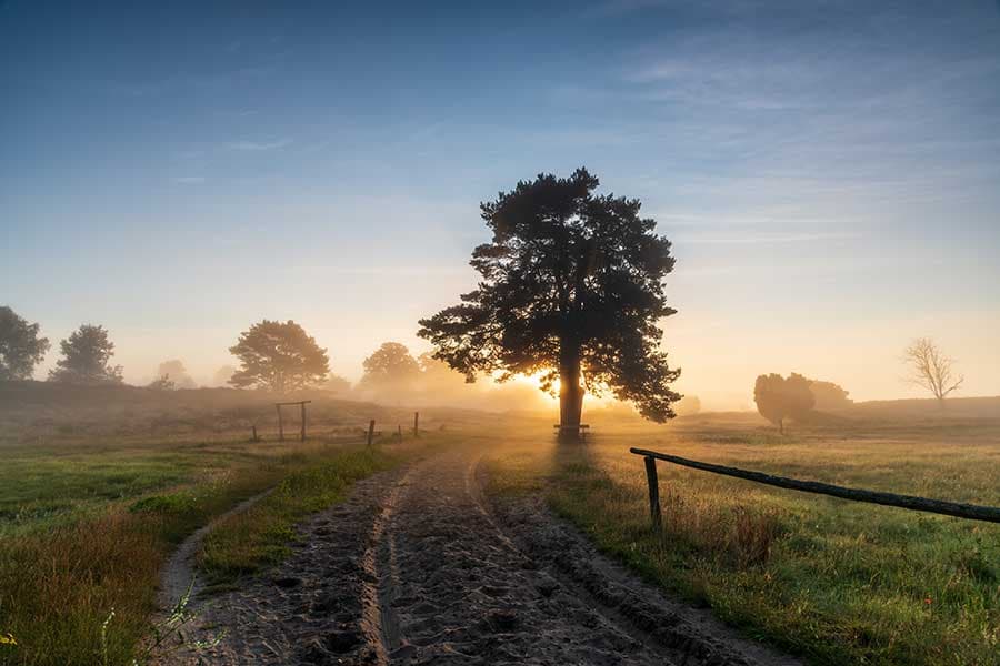 Rundwanderweg bei Undeloh im Radenbachtal