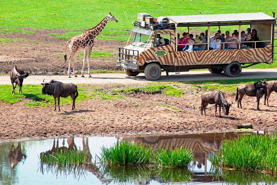 serengeti-park, der Safaripark und Tierpark in Hodenhagen
