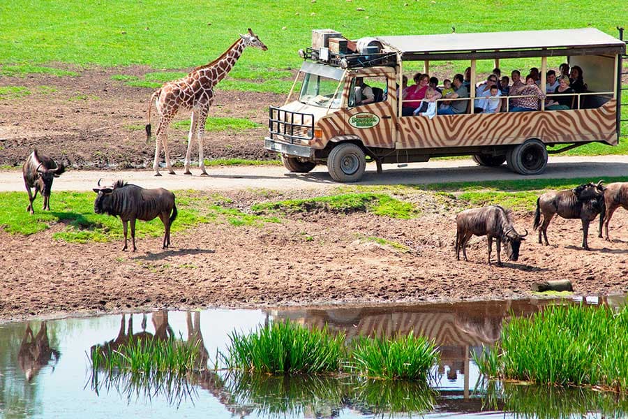 Serengeti Park Hodenhagen