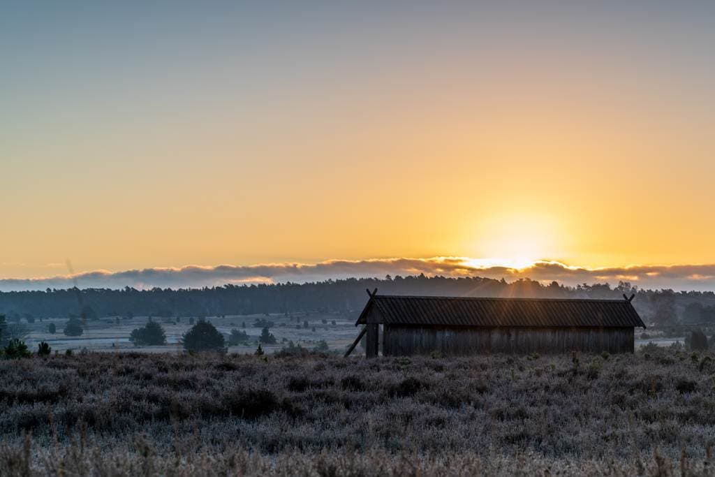 Undeloher Heide bei Sonnenaufgang