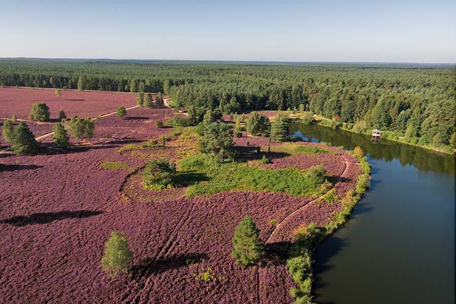 Heideschleife Angelbecks Teich, barrierefreier Rundwanderweg