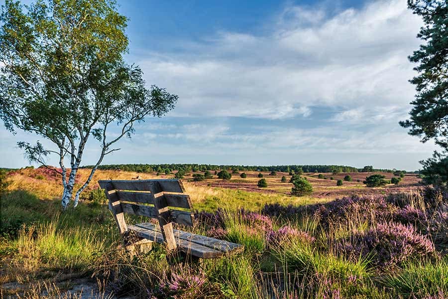 Bank im Radenbachtal mit Panorama