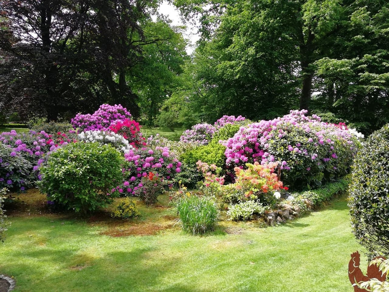 Garten der Ferienwohnung Haus Wiesengrund in Bispingen