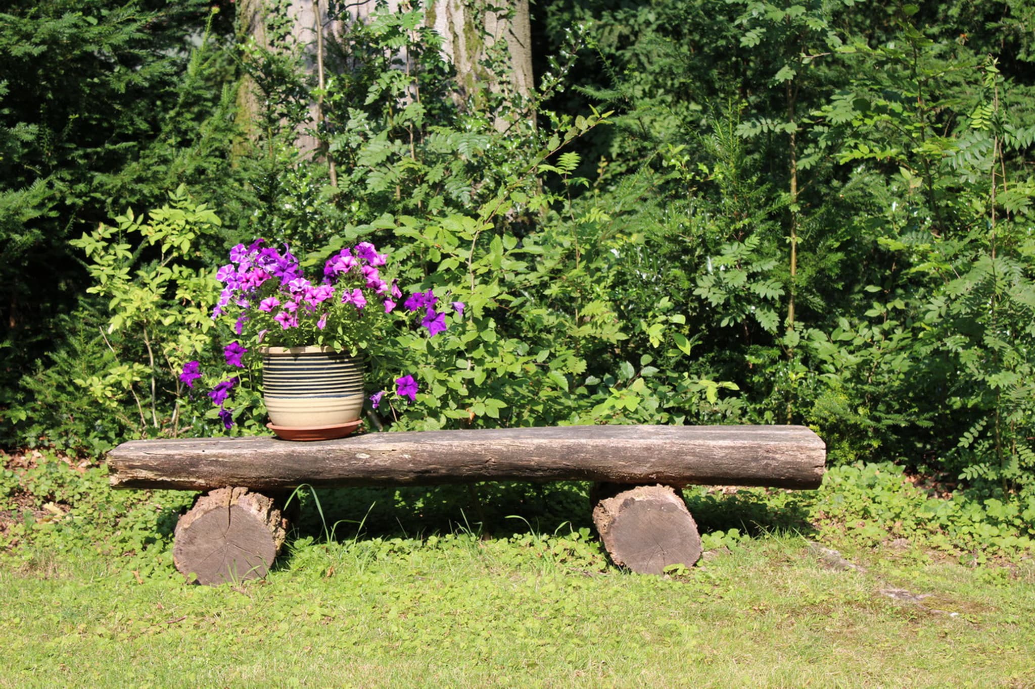 Bank der Ferienwohnung Sterntaler in Stübeckshorn