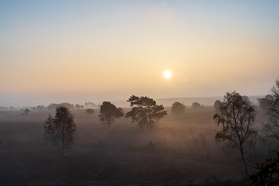 Ausblick vom Hindenburgbunker