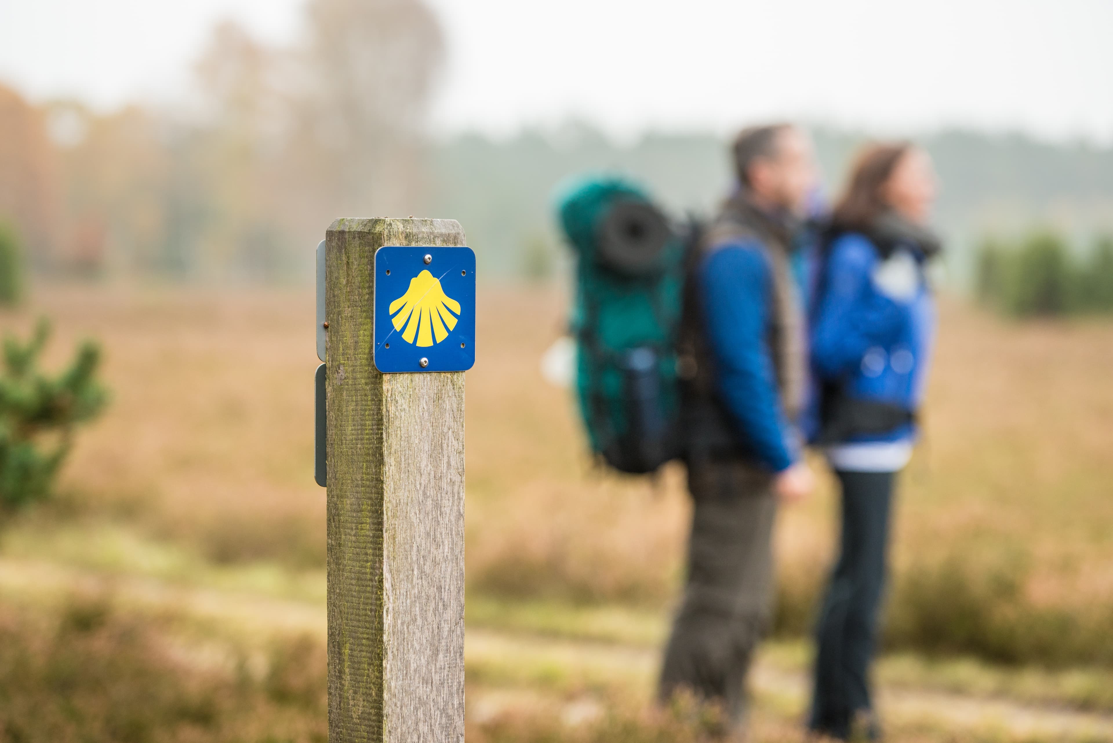 Jacobusweg: Beschilderung des Pilgerwegs