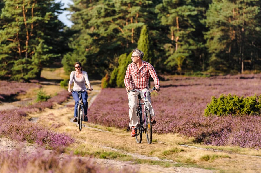 rad, menschen, fahrradtour, wald