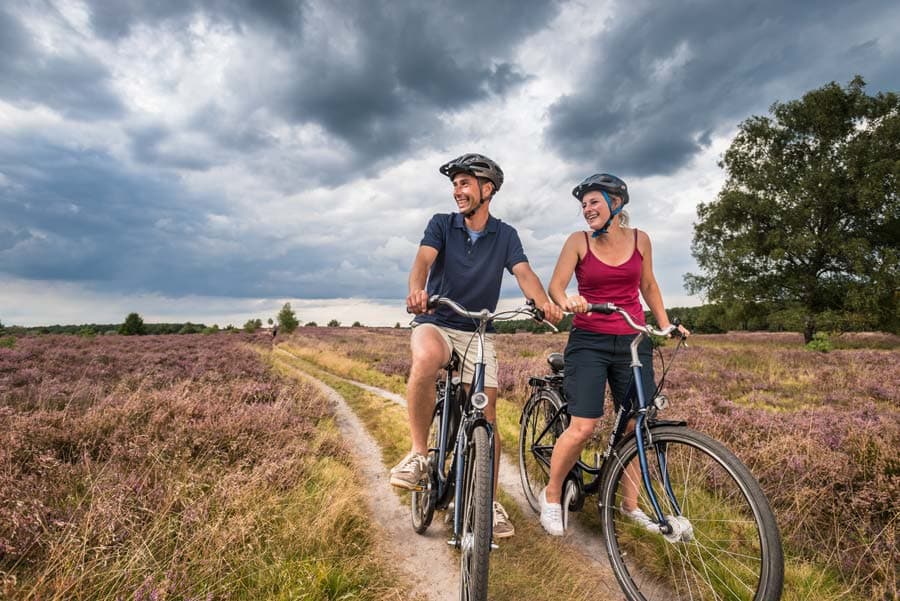 rad, fahrrad, heide, menschen