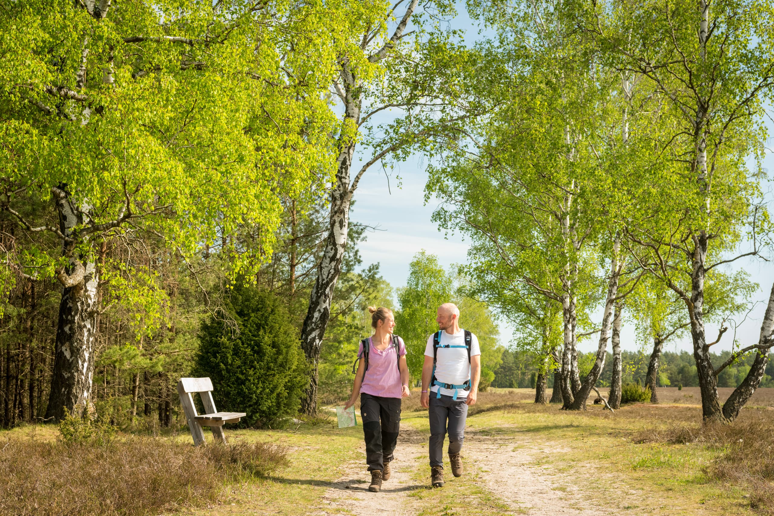 In der Oberoher Heide bei Müden (Örtze).jpg