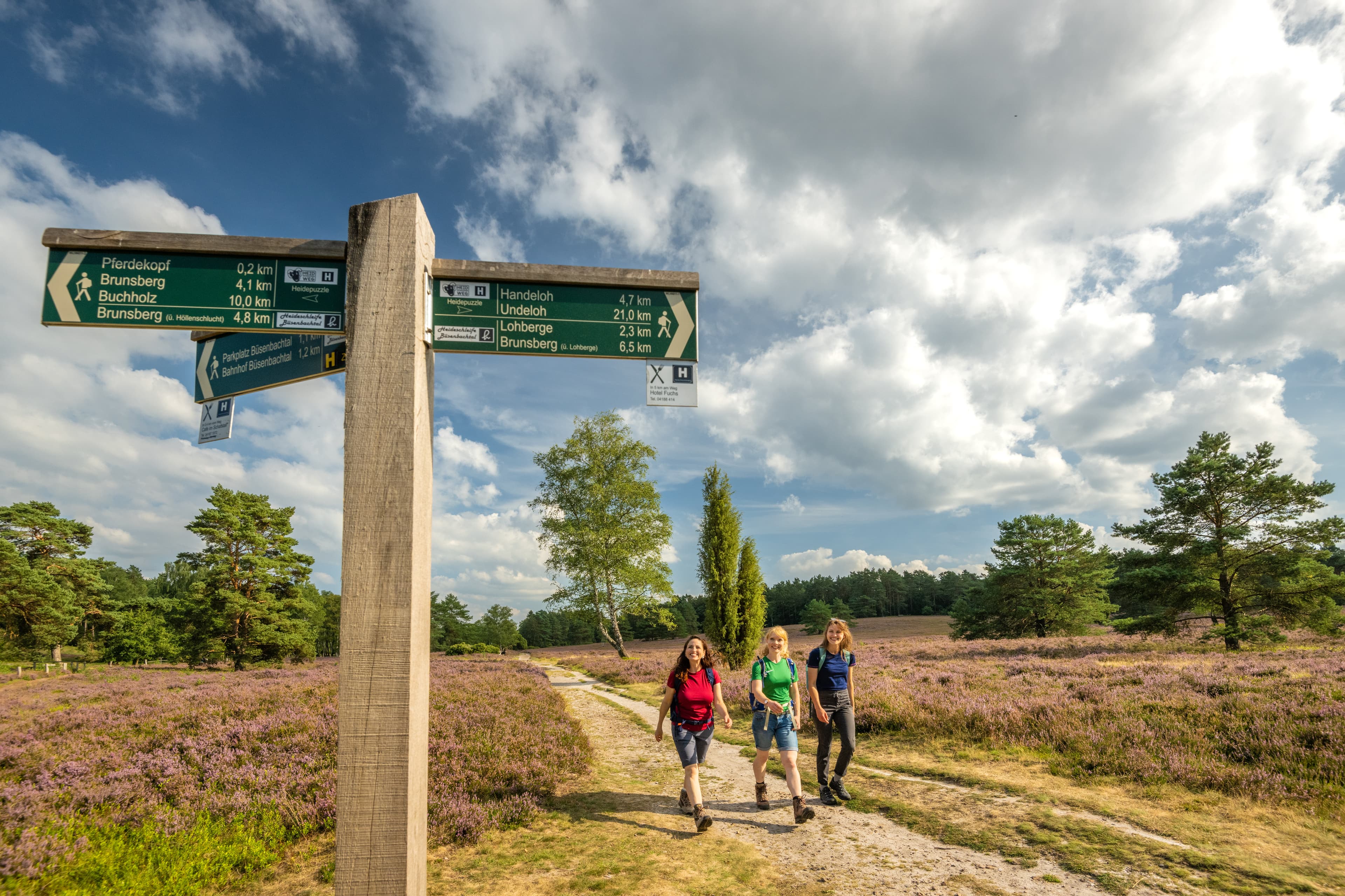 Wegweiser Heidschnuckenweg 