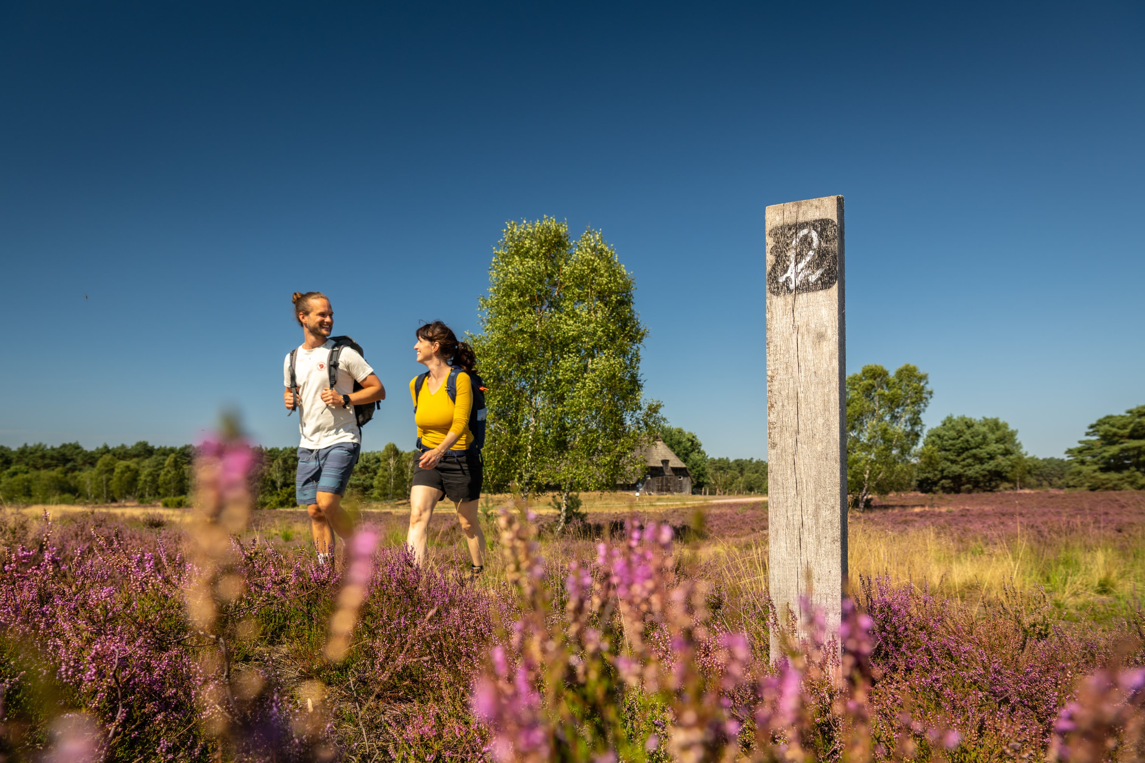 Wandern auf dem Heidschnuckenweg