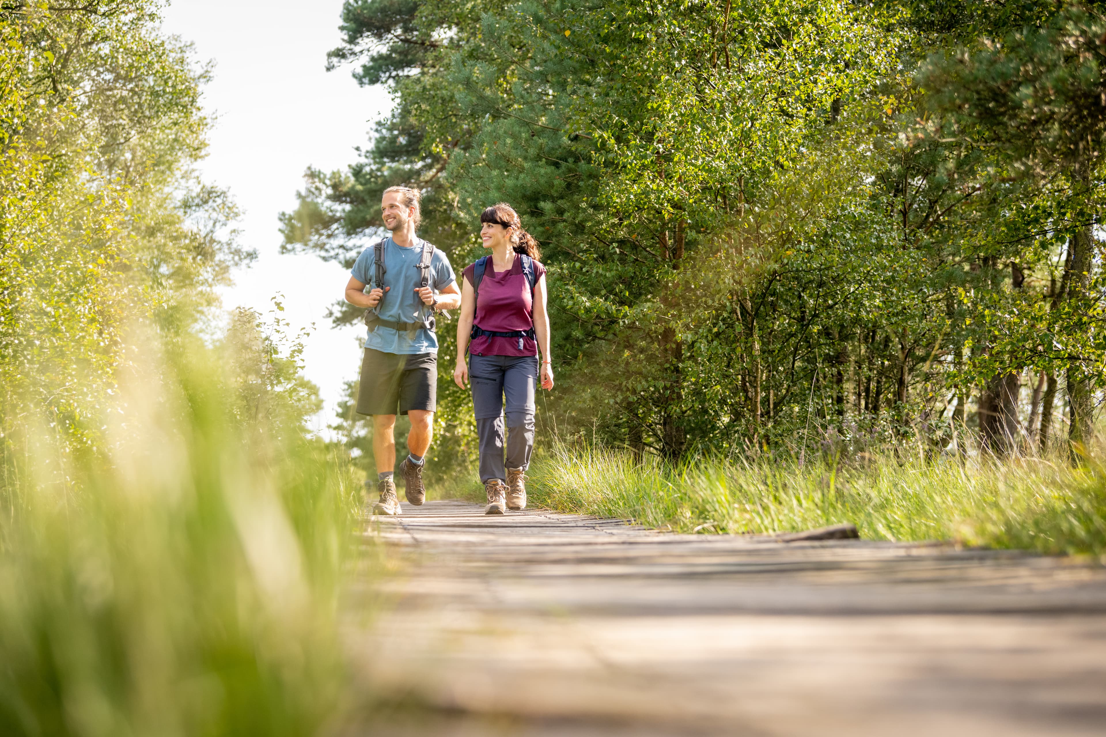 Pietzmoor Schneverdingen Wanderer auf dem Bohlensteg