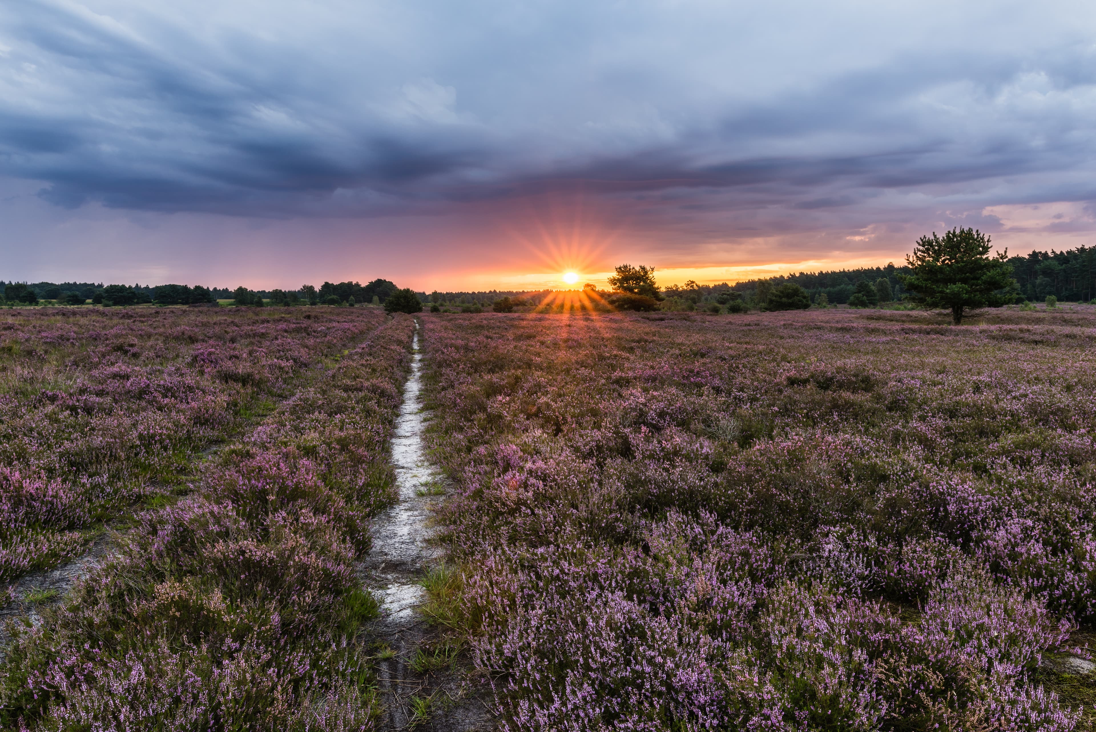 Sonnenuntergang in der Behringer Heide 