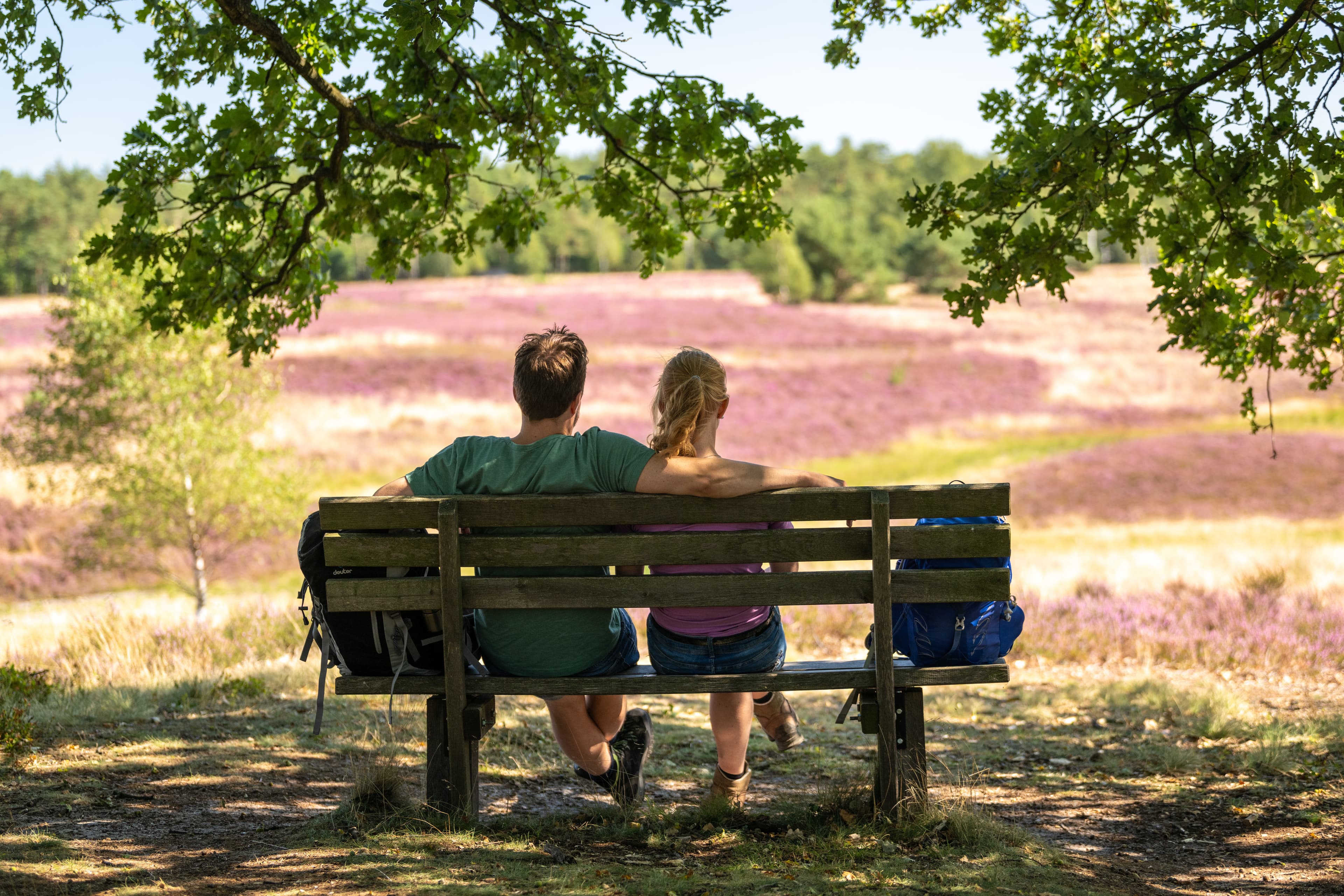 Pause in der Weseler Heide am Wanderweg Heidschnuckenweg Undeloh