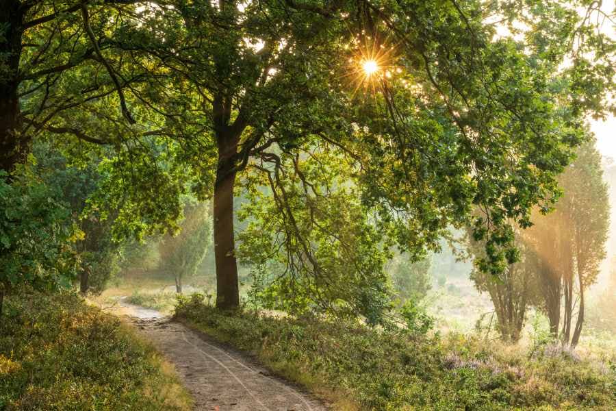 Steingrund Bispingen am Wanderweg Heidschnuckenweg