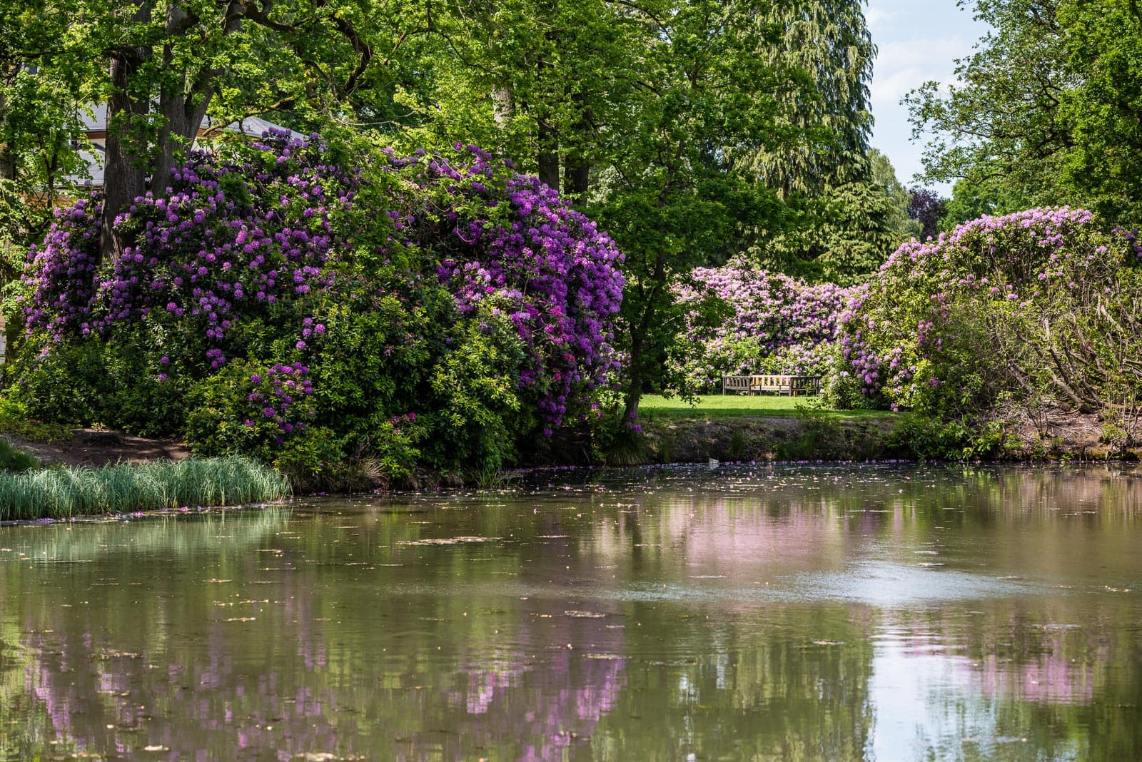 Soltau Breidings Garten