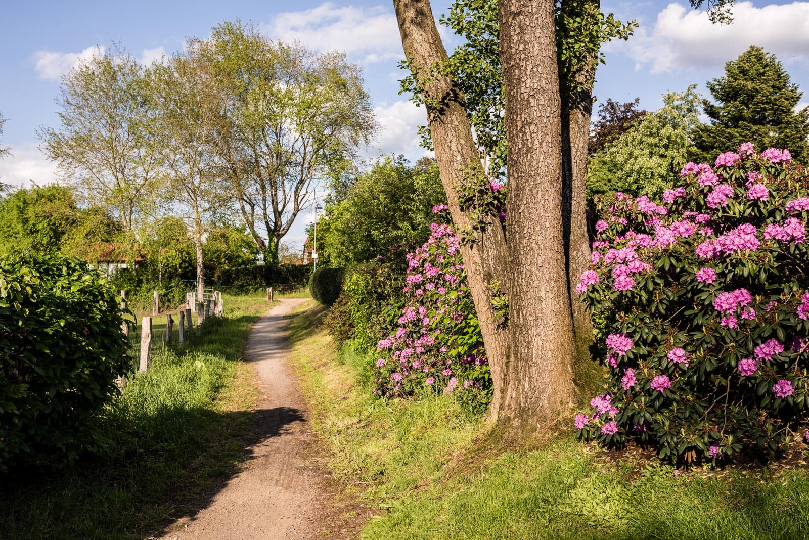 Heidschnuckenweg Wietzendorf Etappe 7