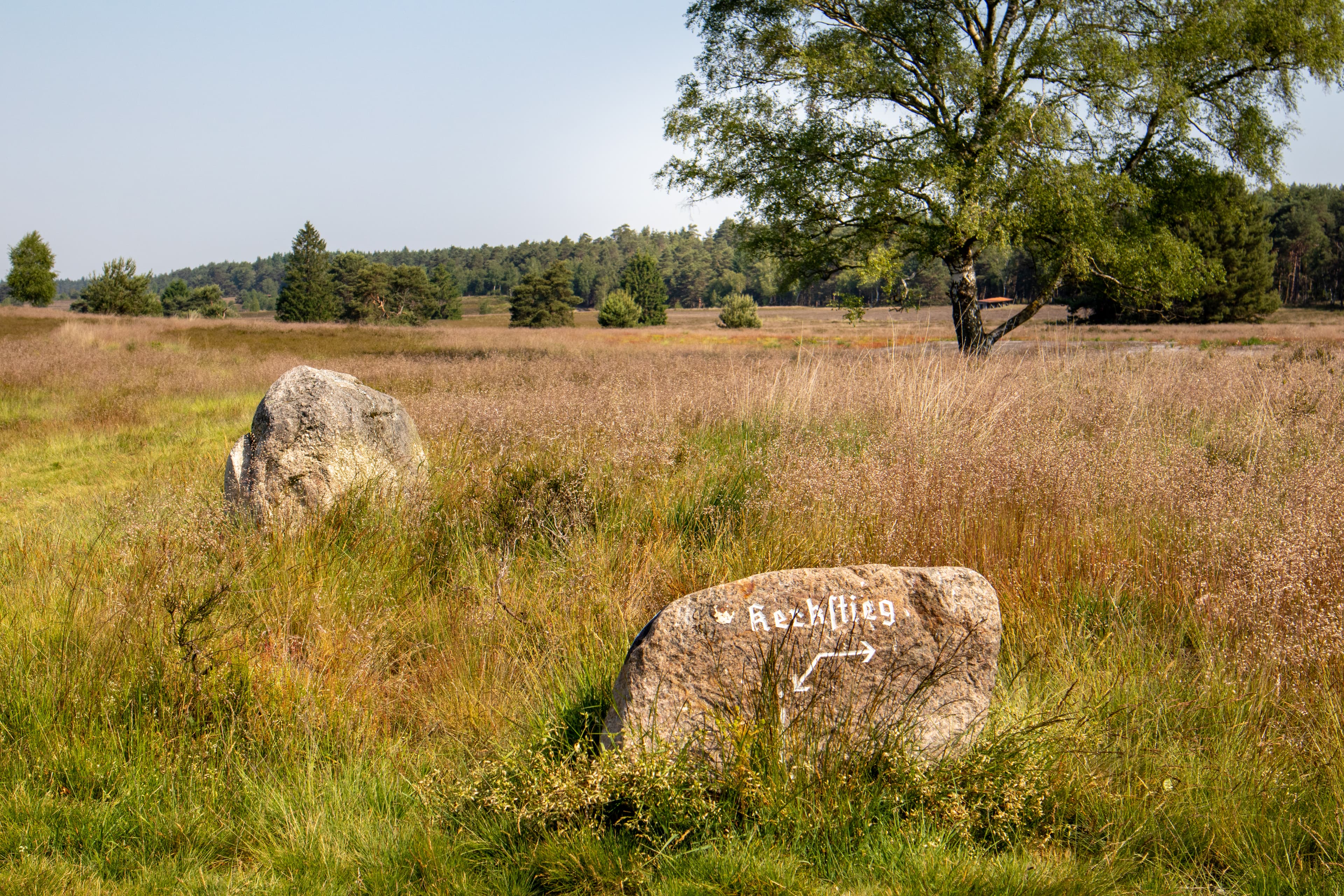 Der Kerkstieg führt auch durch die Weseler Heide