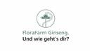 Logo FloraFarm Ginseng