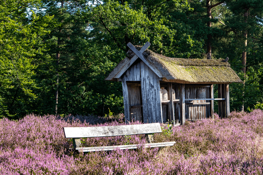 Das &nbsp;Naturwunder Birkenbank&nbsp; ist eine kleine Heidefläche gleich hinter dem Ortsausgang von Egestorf Richtung Sudermühlen. Auf einer Anhöhe gelegen empfängt Sie eine Sitzgruppe zum picknicken oder eine Bank- tatsächlich unter Birken. Die Sonnenuntergänge von hier aus beobachtet sind ein Traum!