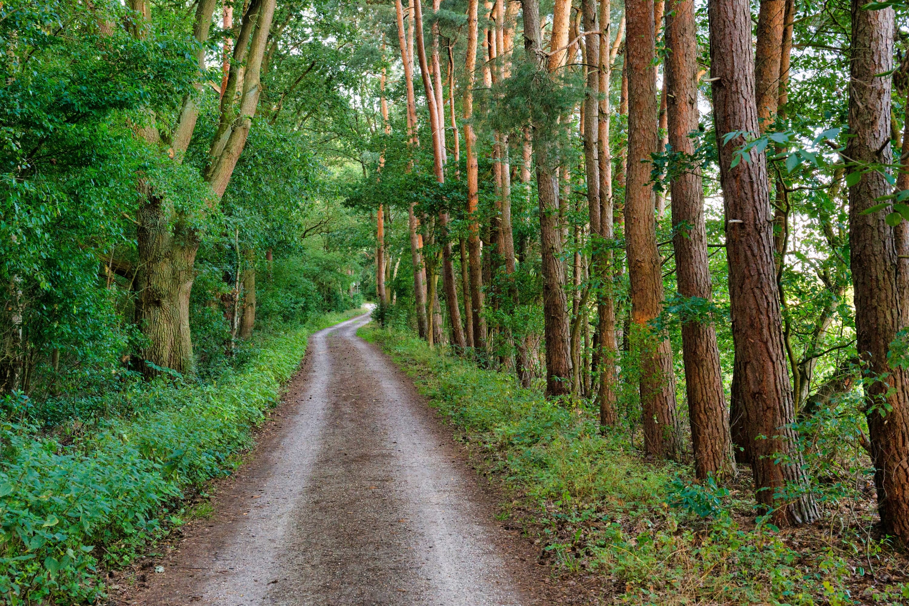 Wietze Aller-Radweg