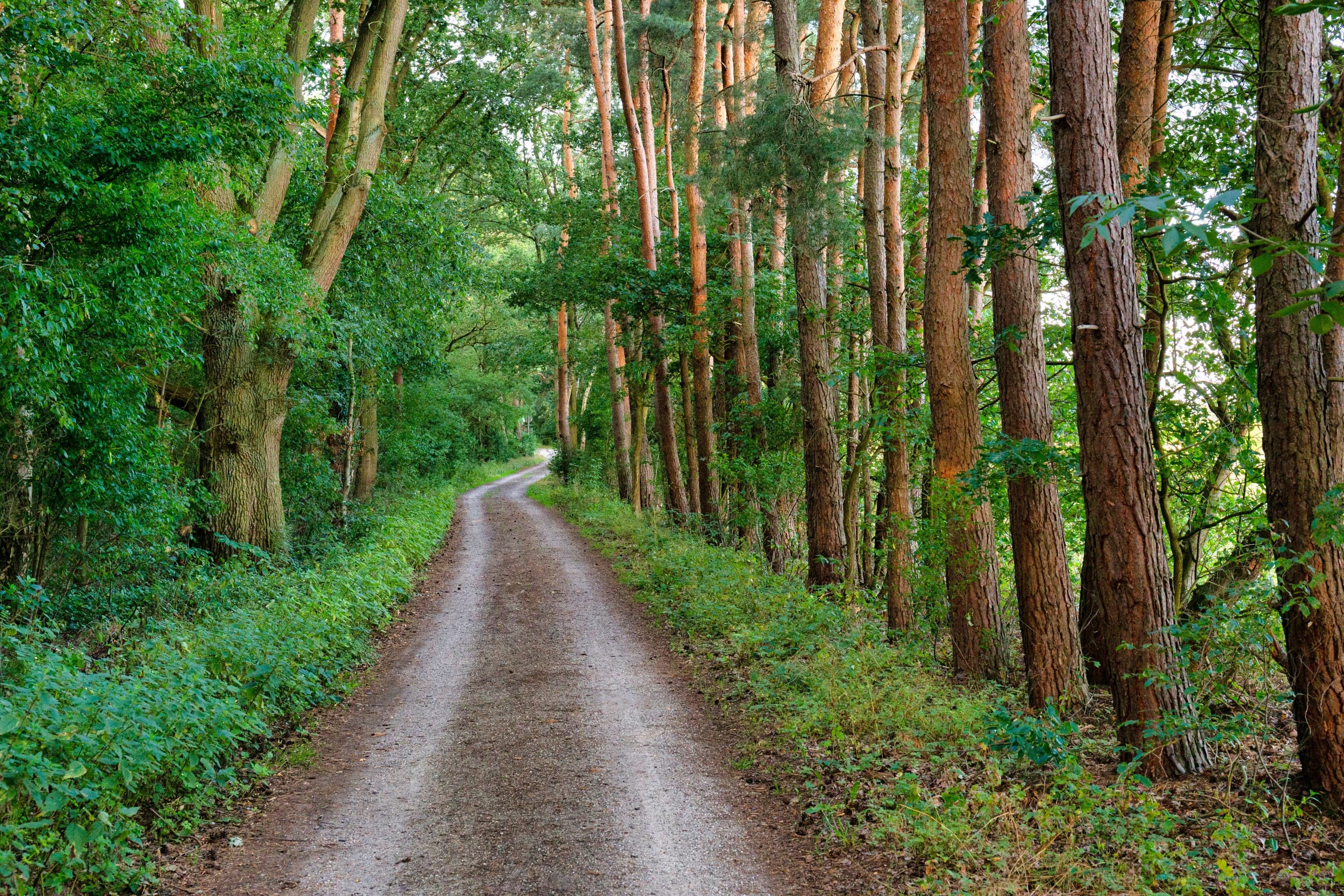 Auf dem Aller-Radweg in Hornbostel