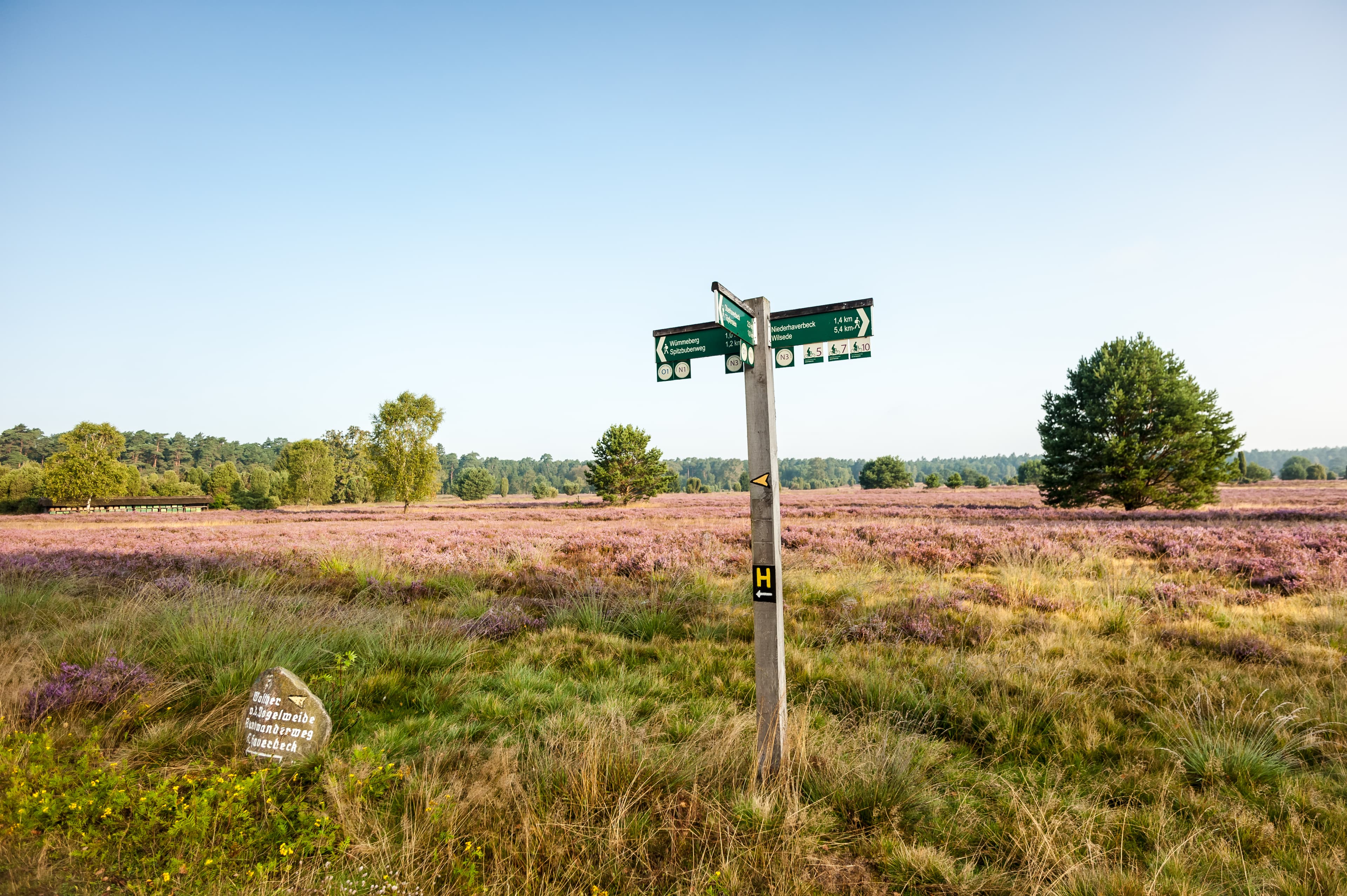 Wegweiser Heidefläche im Tal der Haverbeeke Lüneburger Heide