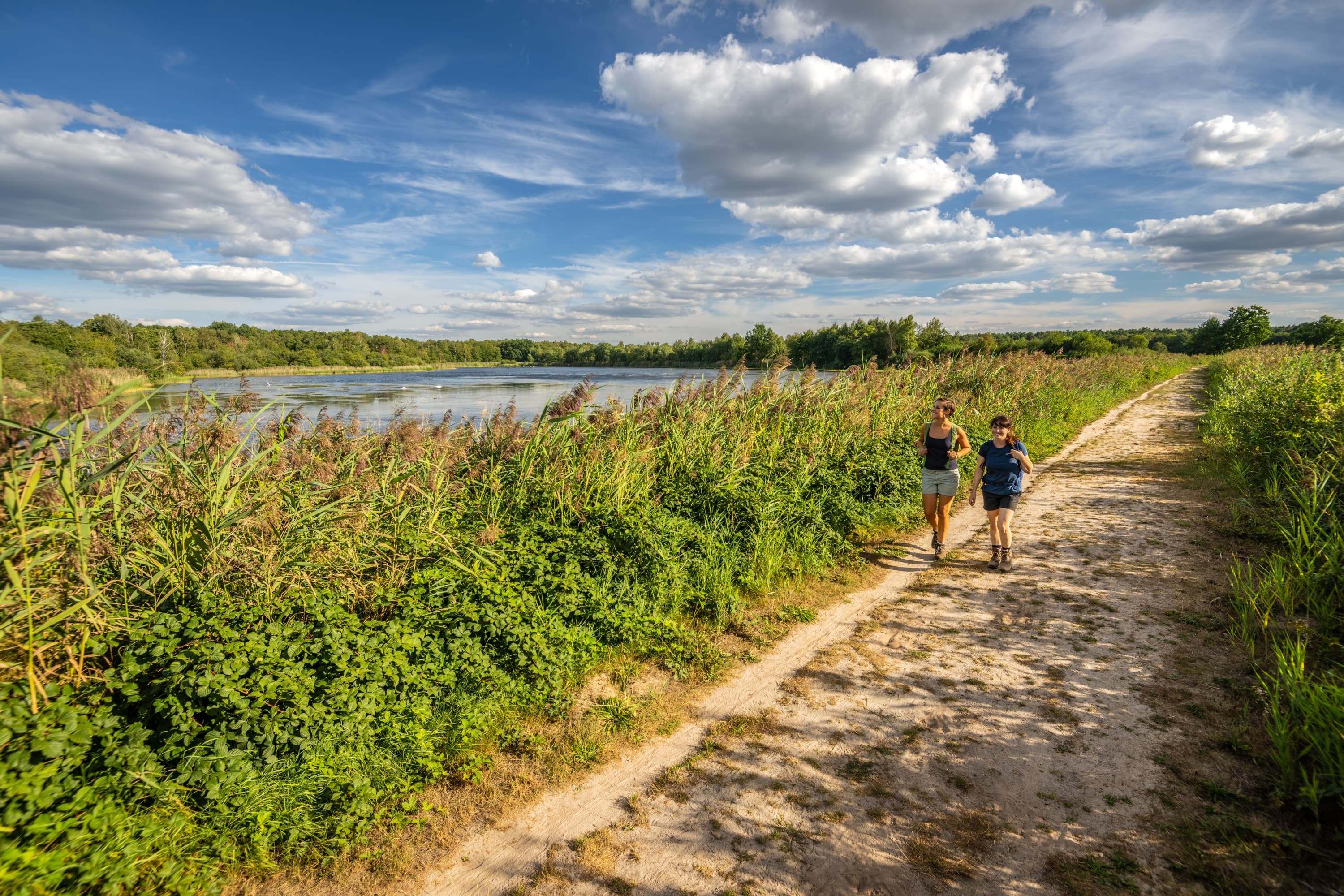 Auf dem Rundwanderweg rund um den Hüttensee