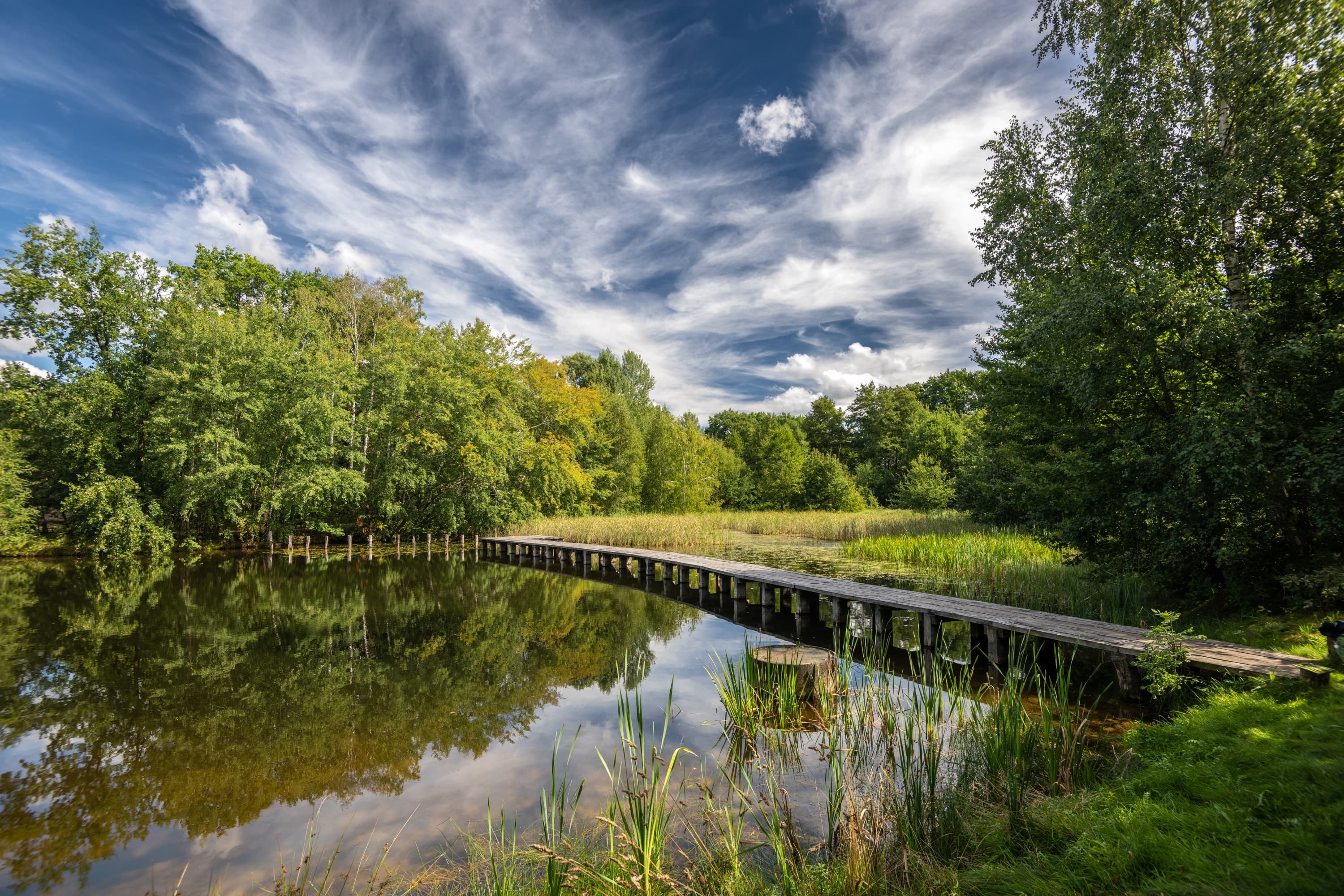 Am Badesee in Bargfeld bei Eldingen